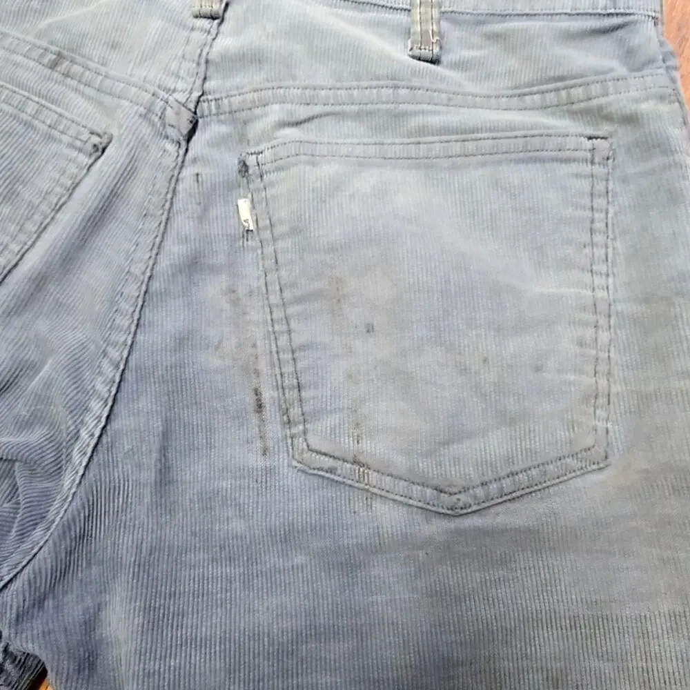 Vintage Corduroy Shorts Distressed Blue Mens 31 Cutoff Shorts